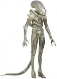 Figura Alien dallas-Ripley-Big chap S 7" NC-51593
